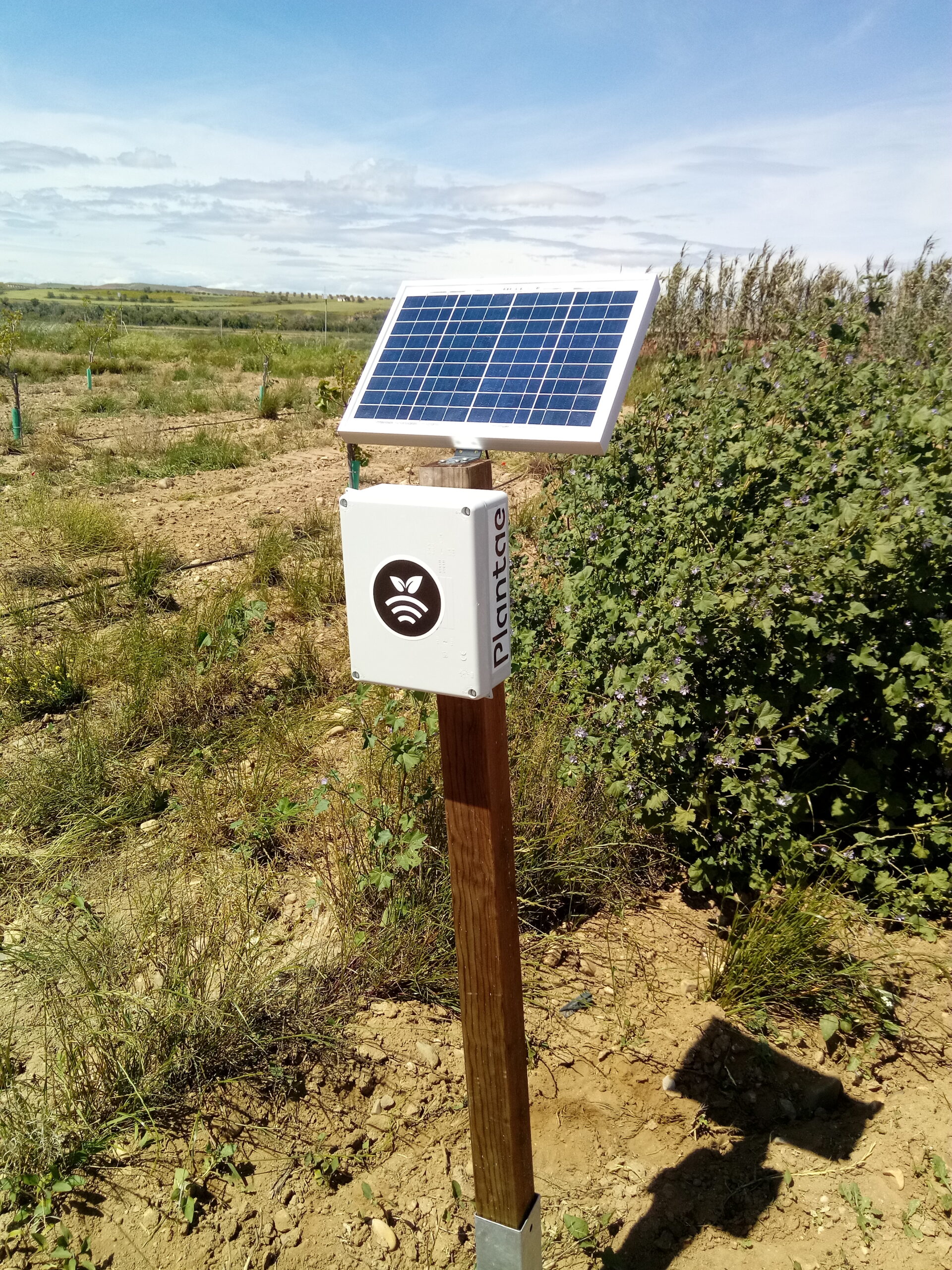 Hub para controlar sensores/sonda agrícolas para pistacho