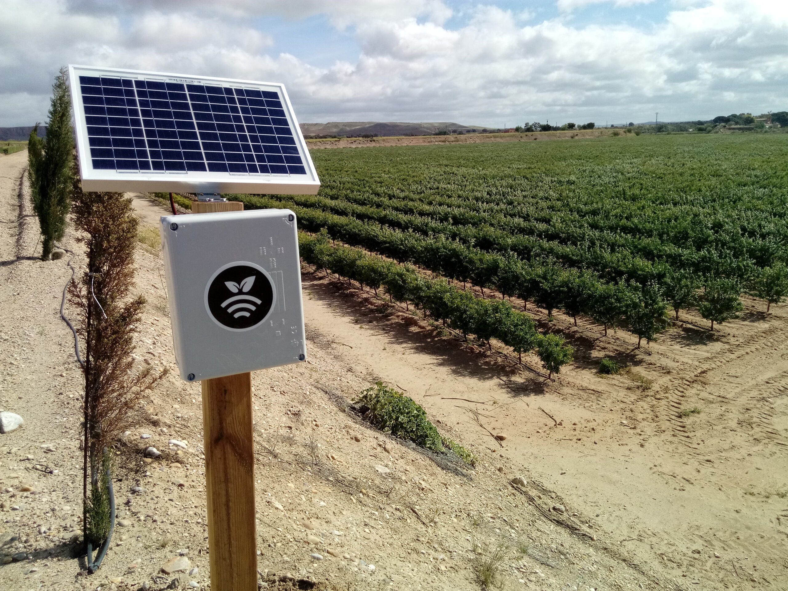 Hub inalámbrico en almendro intensivo-Bioeconomía