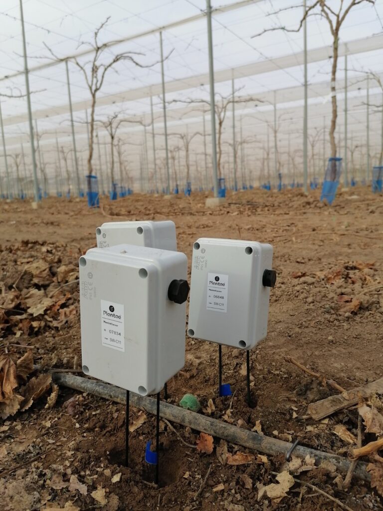 Sensores a tres profundidades en los vinos de jumilla