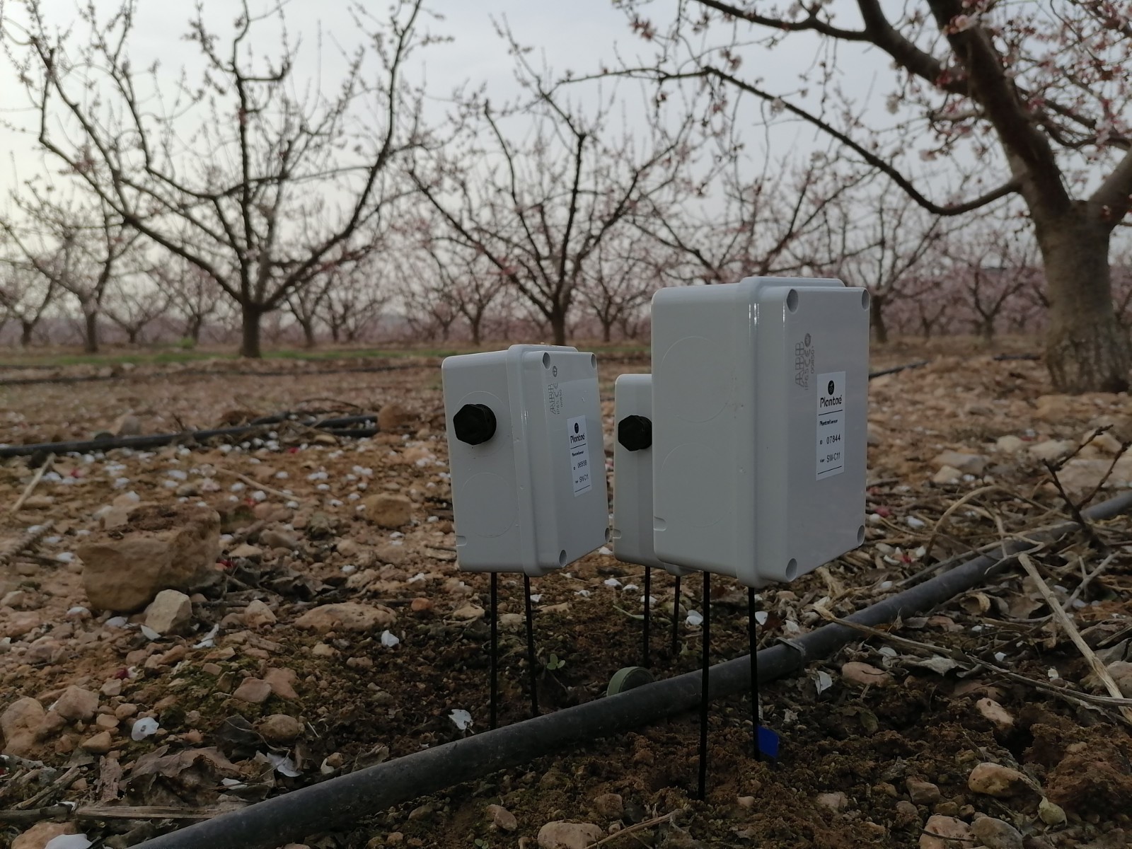 Sensores en agricultura