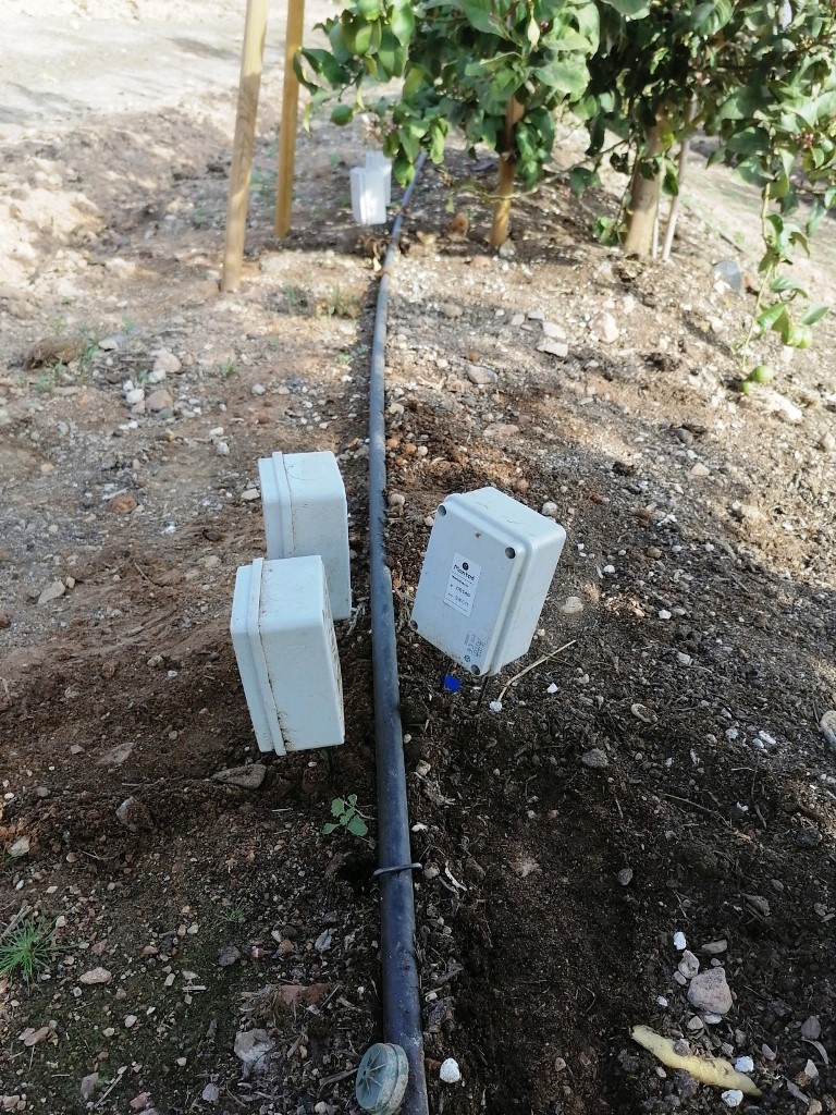 Sensores en cítricos