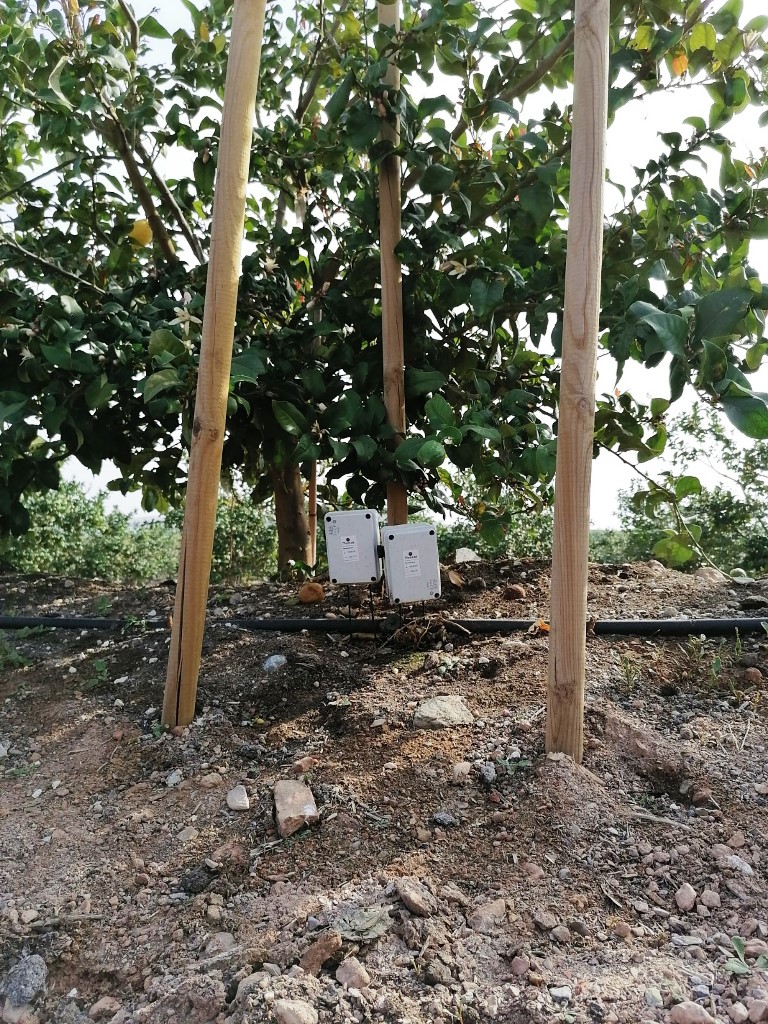 Cítricos intensivos con sensores de conductividad