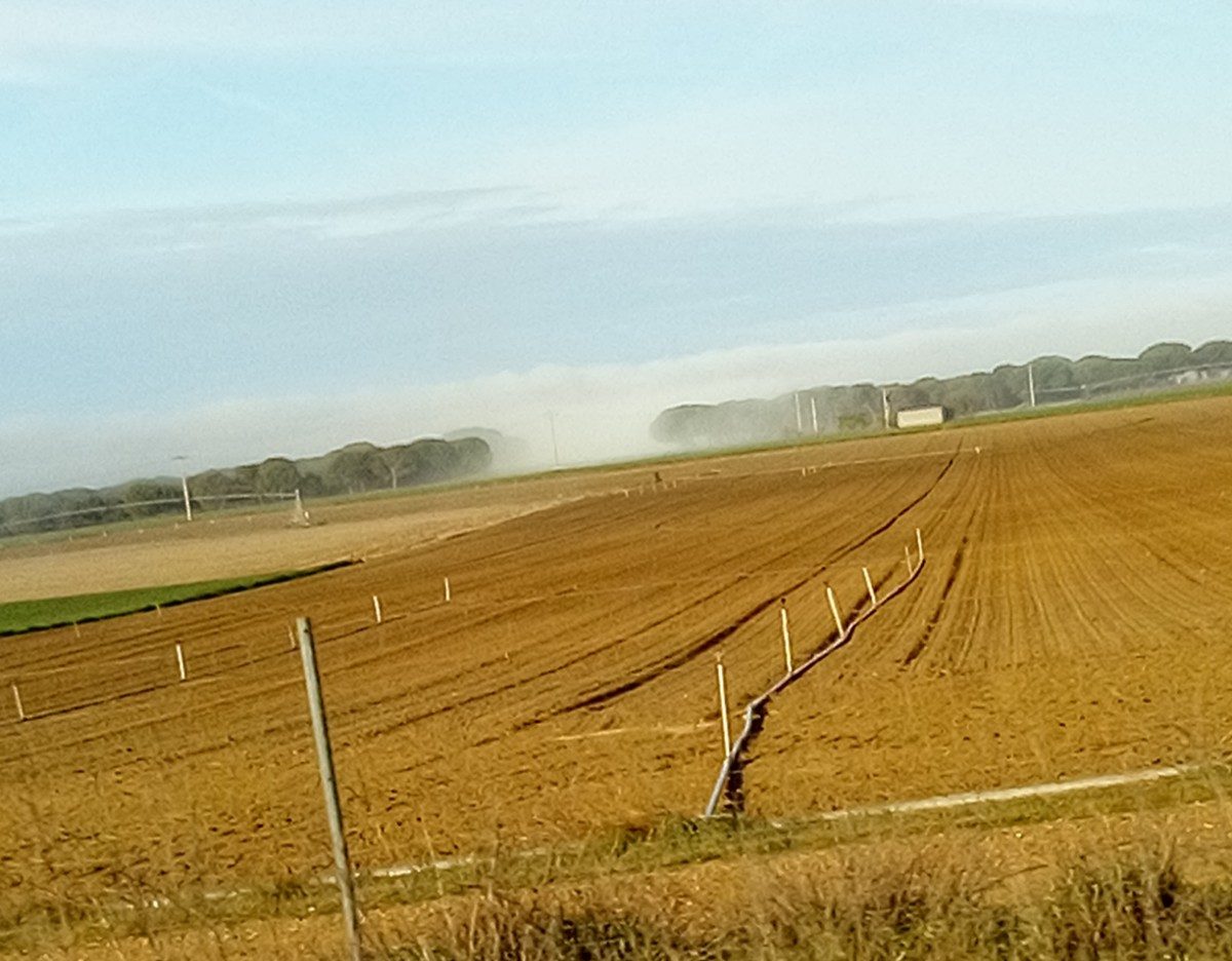 Riego por aspersión en cultivos