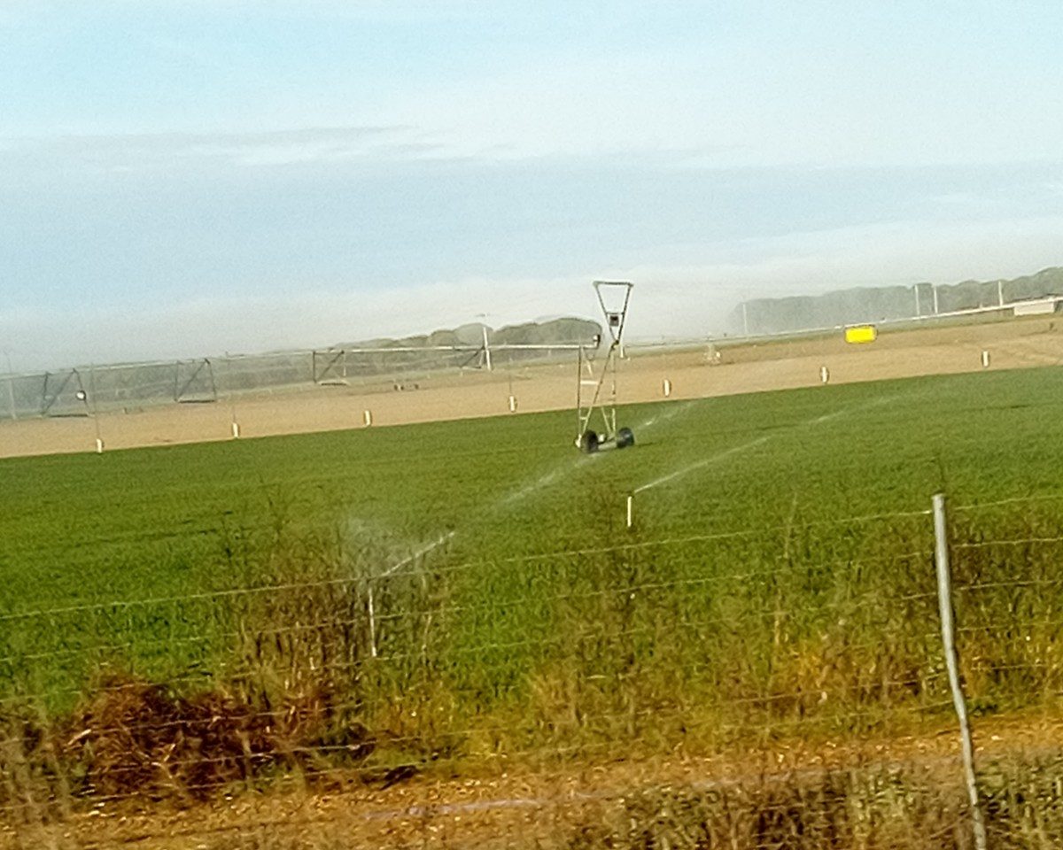 Riego por aspersión