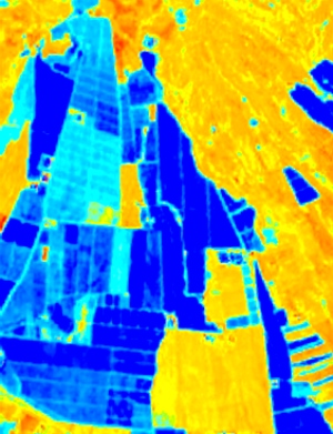 Imágenes satelitales y drones en el ámbito agroforestal en los Almagros
