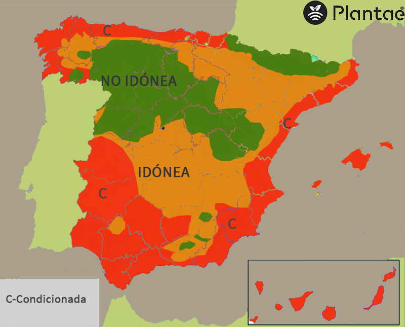 Mapa de pistacho en España según los días de frío