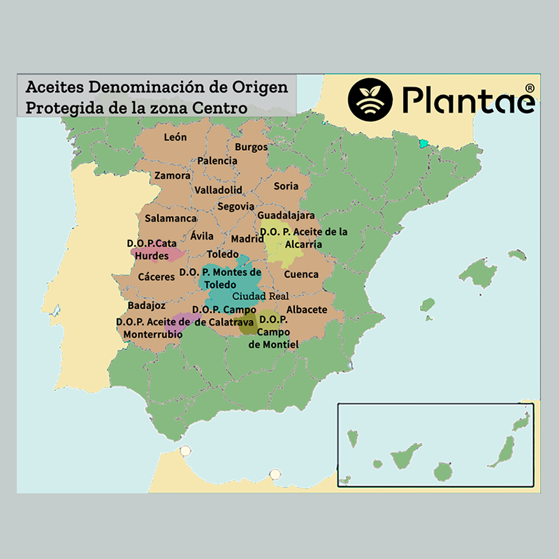 Aove nuts- Aceites con Denominaciones de origen en zona Centro