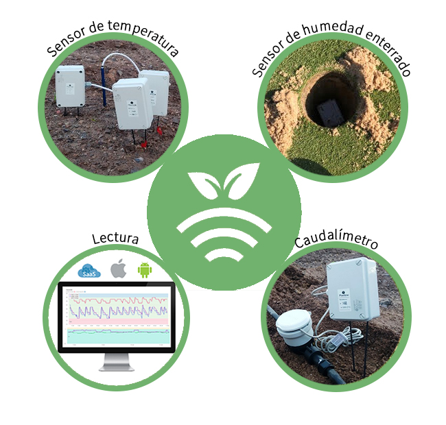 Sensores en green Plantae