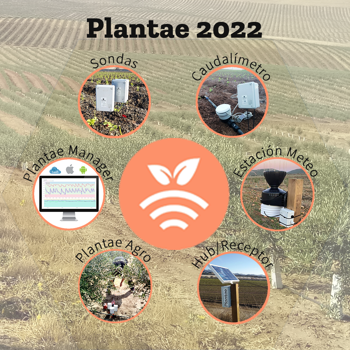 Sensores y sondas Plantae