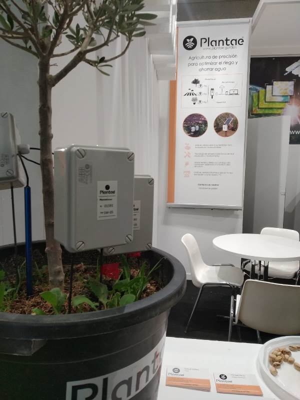 Plantae en Fruit Atraction