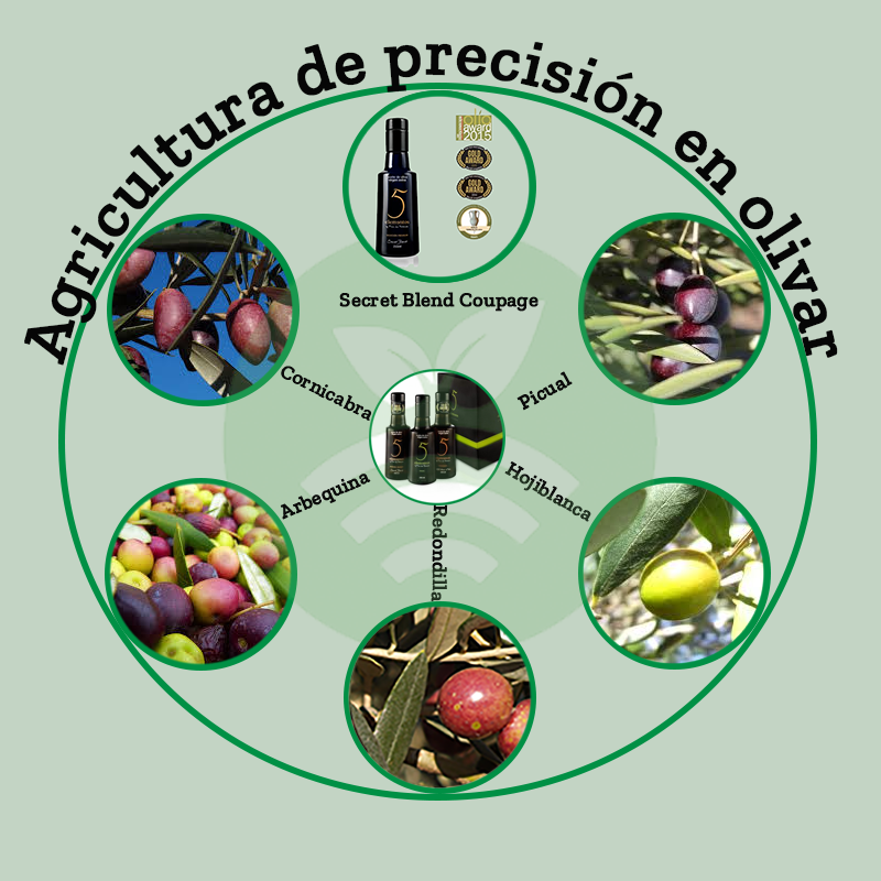 Agricultura de precisión en olivar