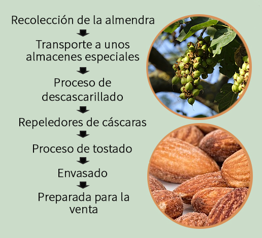Proceso de tostado de la almendra