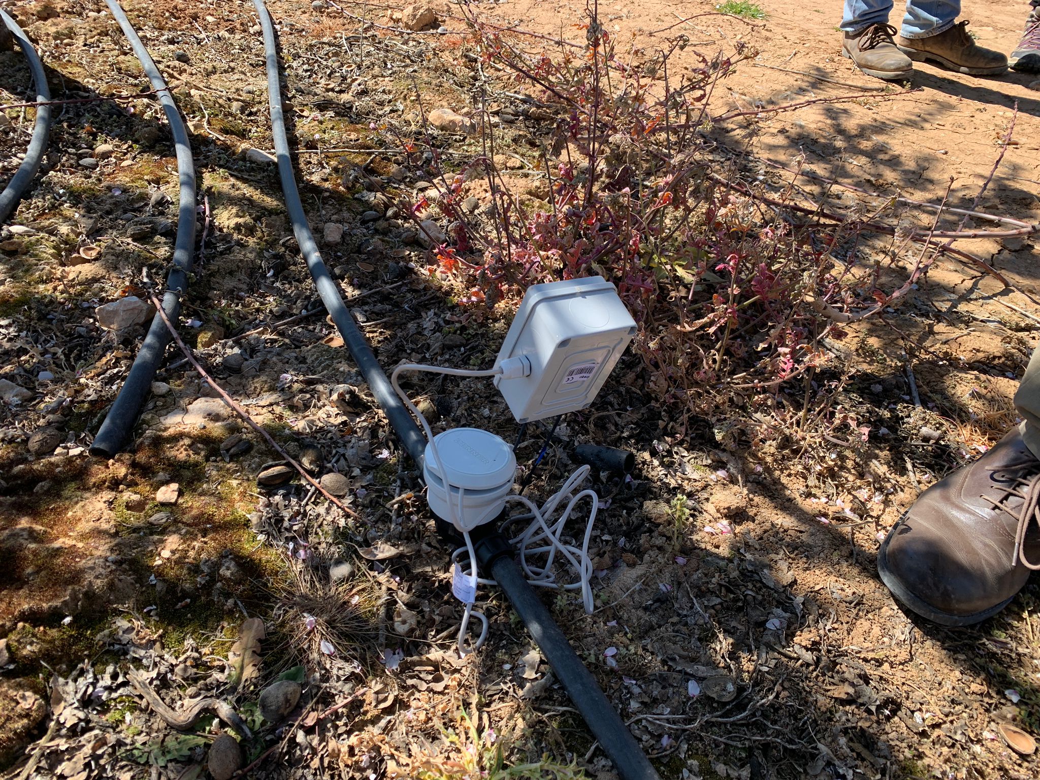 Sensores para agricultura de precisión