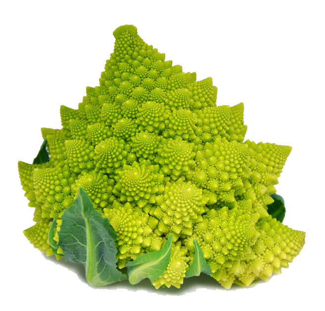 Romanesco