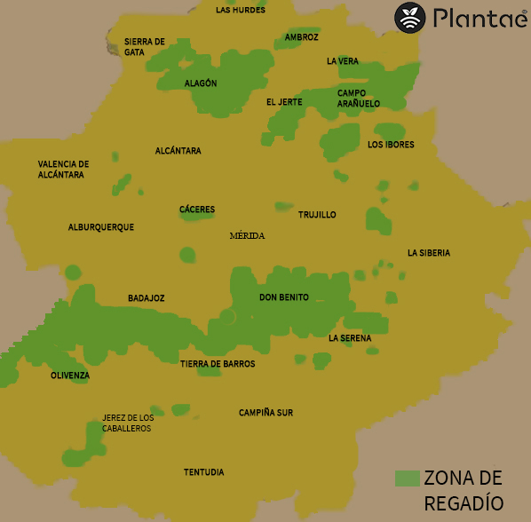 agricultura de regadío en Extremadura