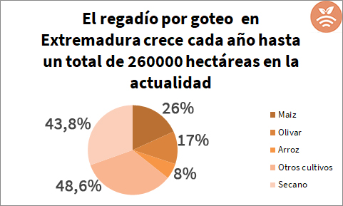 Cultivos con regadío