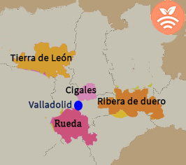 Ruta del vino en Valladolid