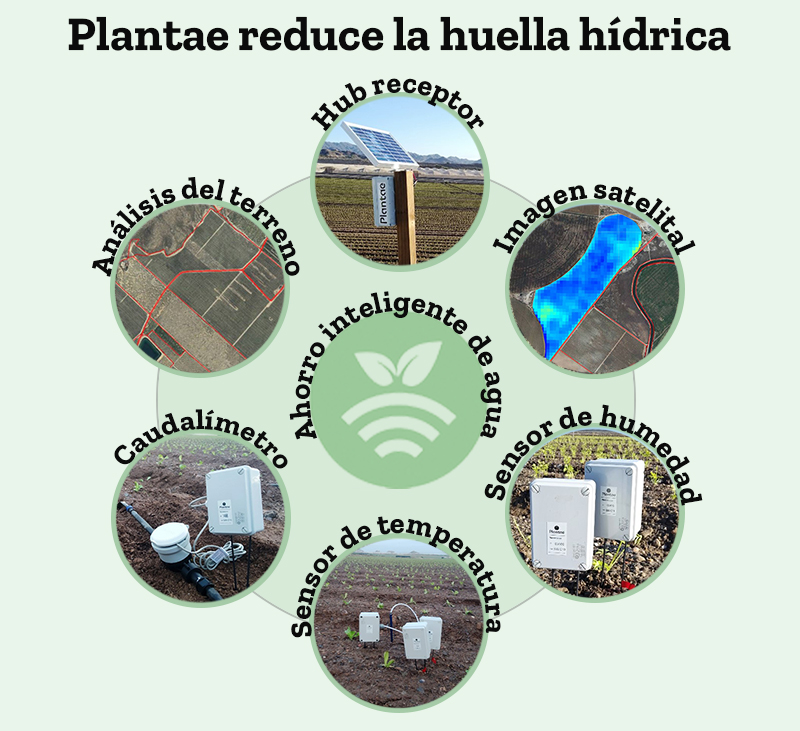 Tecnología Plantae con sensores/sonda para reducir la huella hídrica