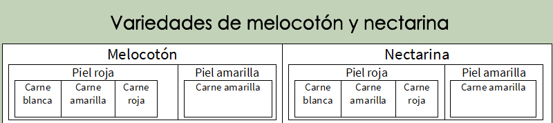 Clasificación de las variedades del melocotón