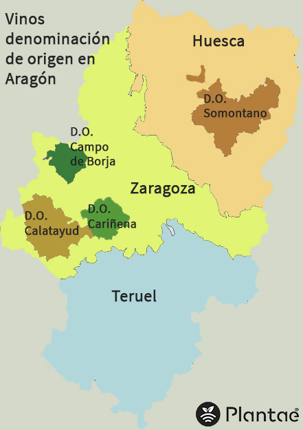 Viñedos DO de Aragón