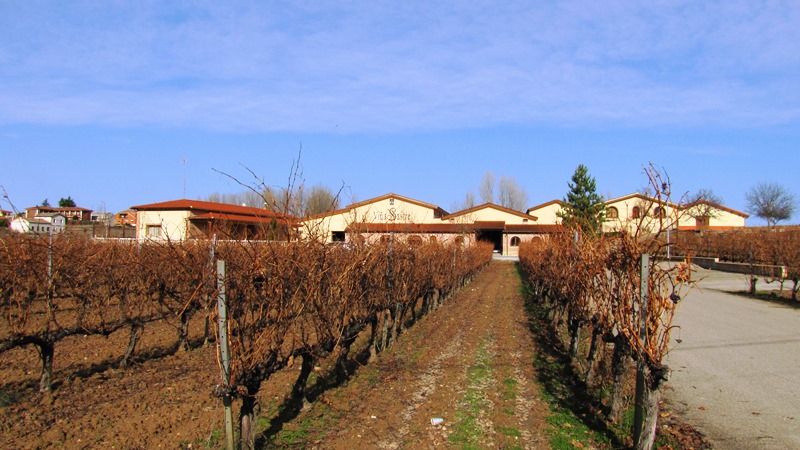 Finca de viñedos en castilla y León
