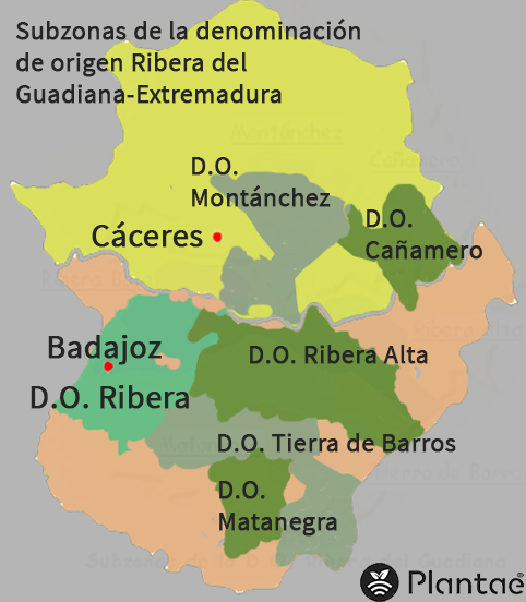 Vinos denominación de origen de Extremadura