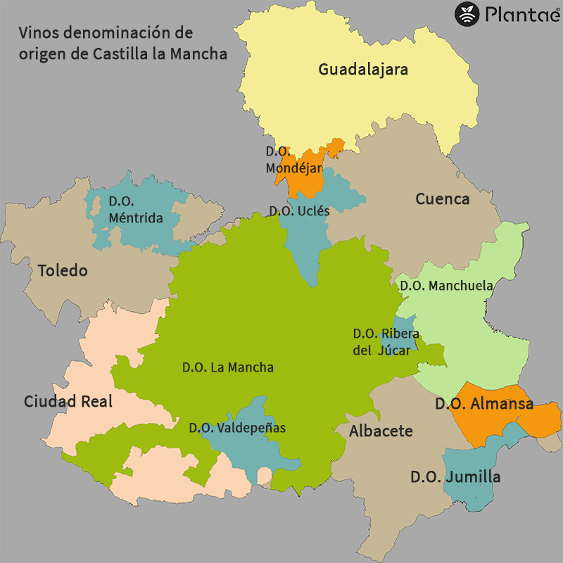 Vinos Denominación de Origen Castilla la Mancha