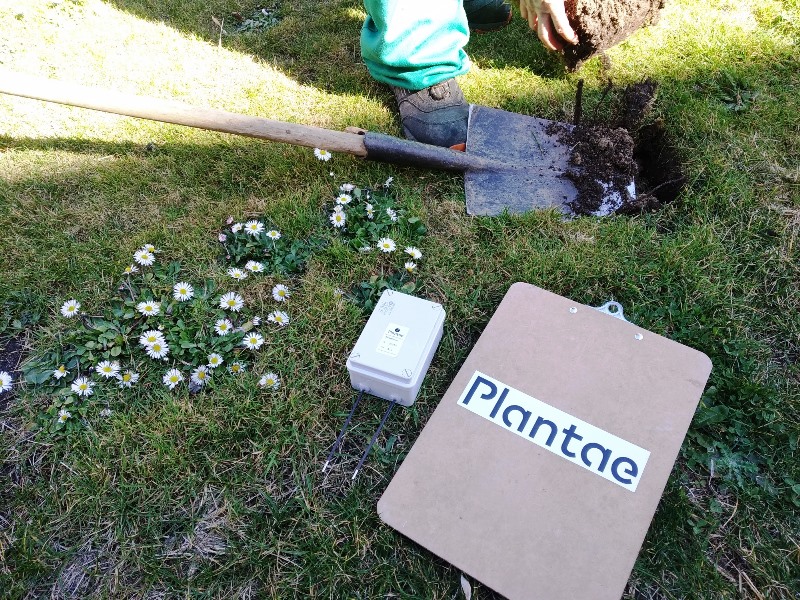 Jardines de la Universidad Carlos III de Madrid