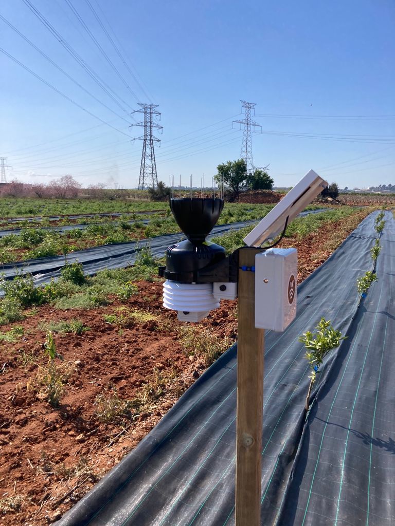 Estación meteo en cítricos intensivos
