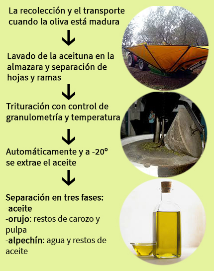 Producción del aceite