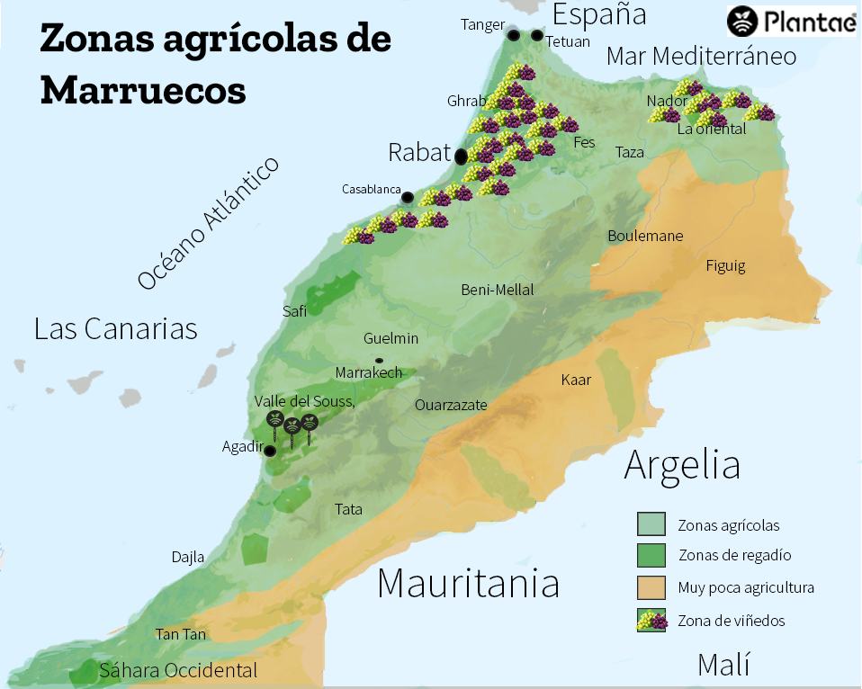 Mapa de la agricultura en Marruecos