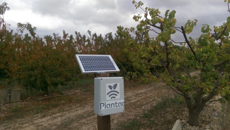 Albaricoque en Frutas Durán- Reportaje de "Diario del Campo"