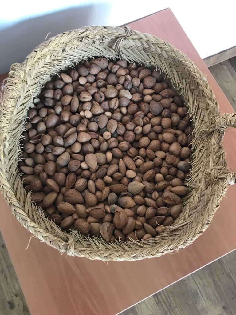 Calidad suprema de almendra de Mallorca