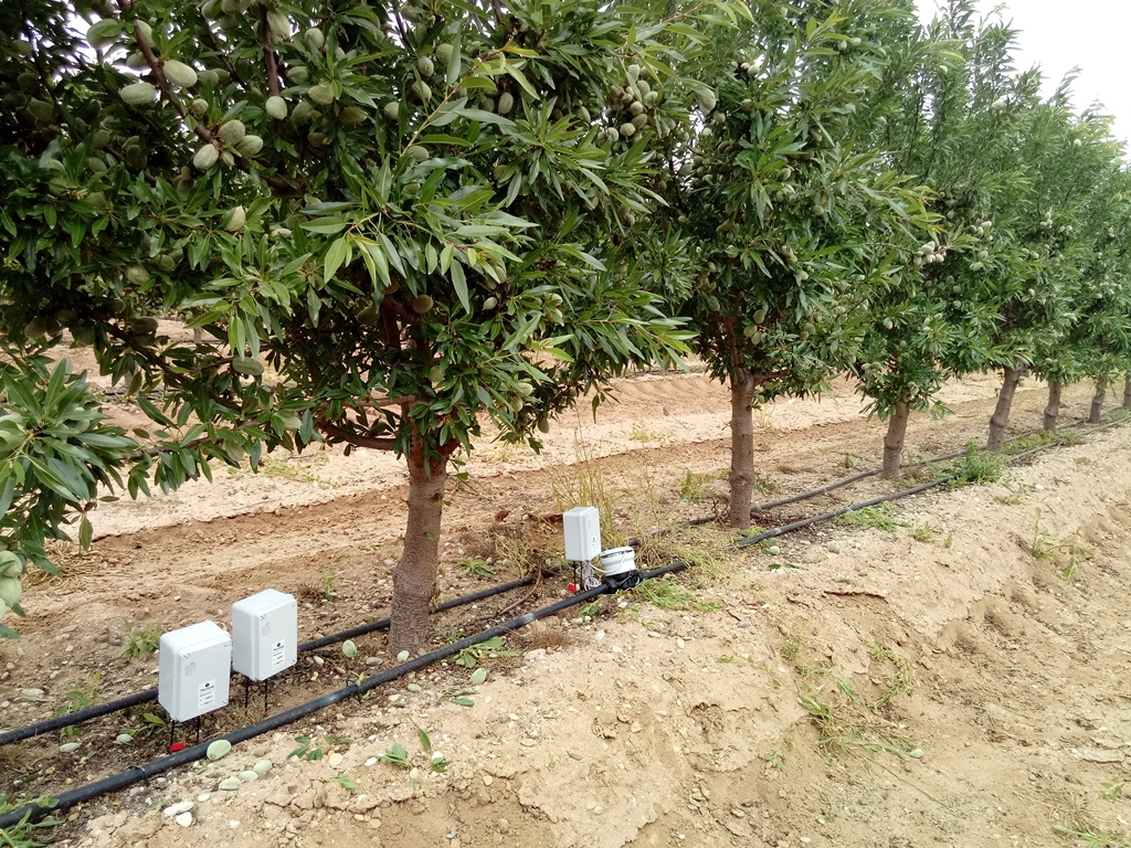 Sensores de humedad en almendros