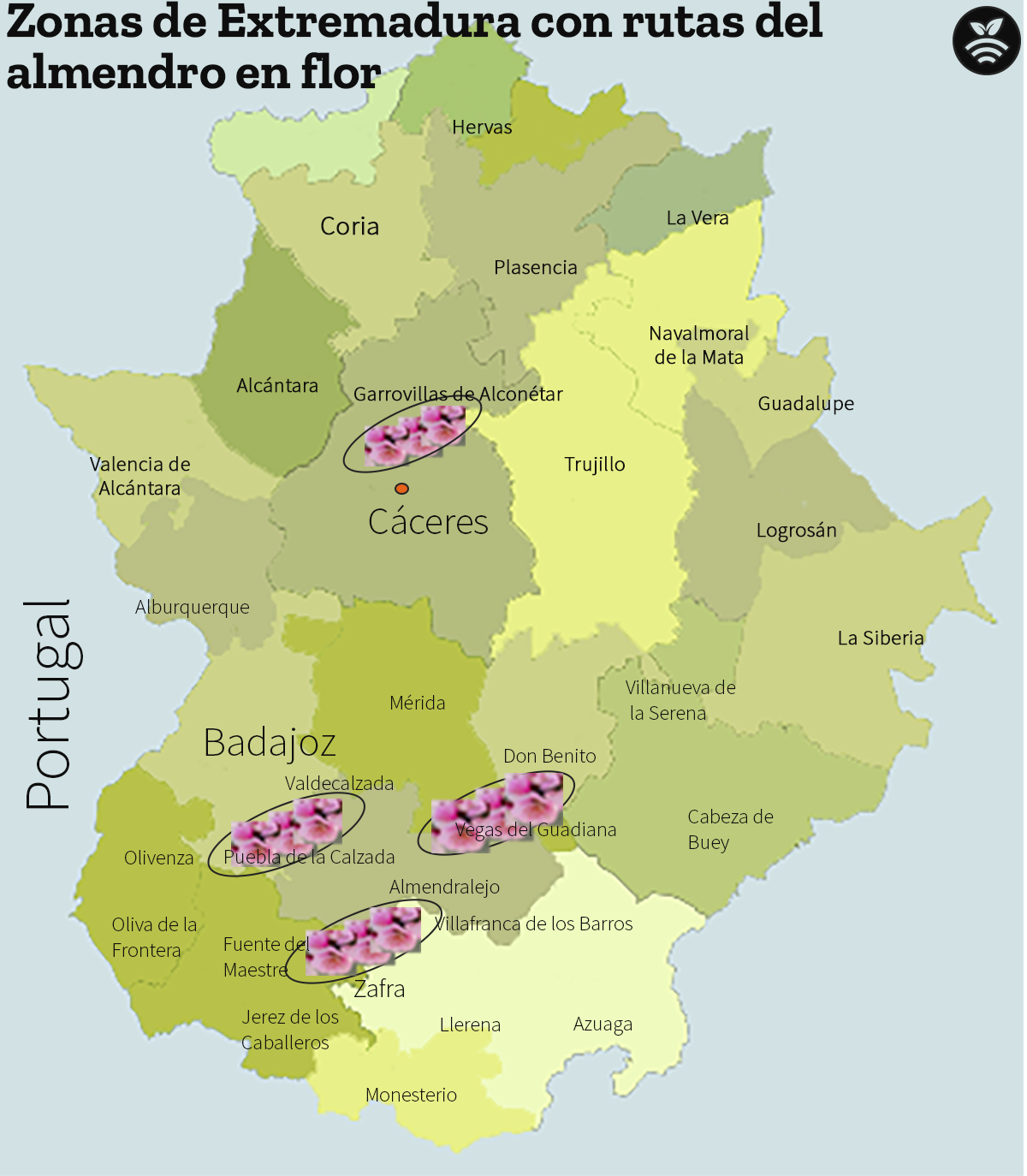 El almendro en Extremadura