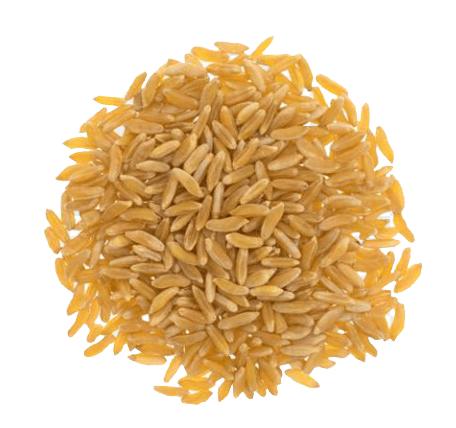 Arroz integral