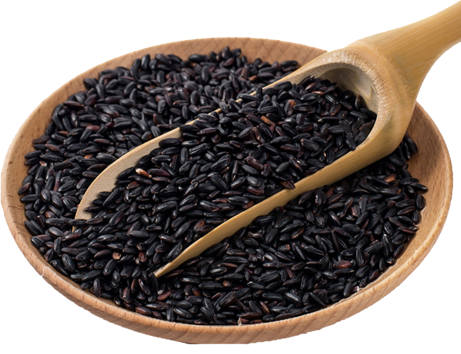 Arroz negro-Arroz en España