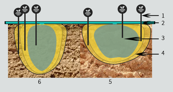 Bulbo húmedo y salinidad del almendro