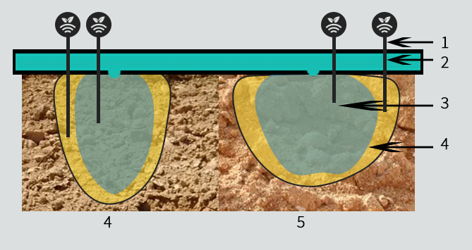 Bulbo húmedo con riego controlado por sensores de humedad en almendros