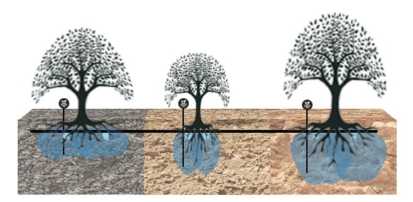 Bulbos en tipos de terreno