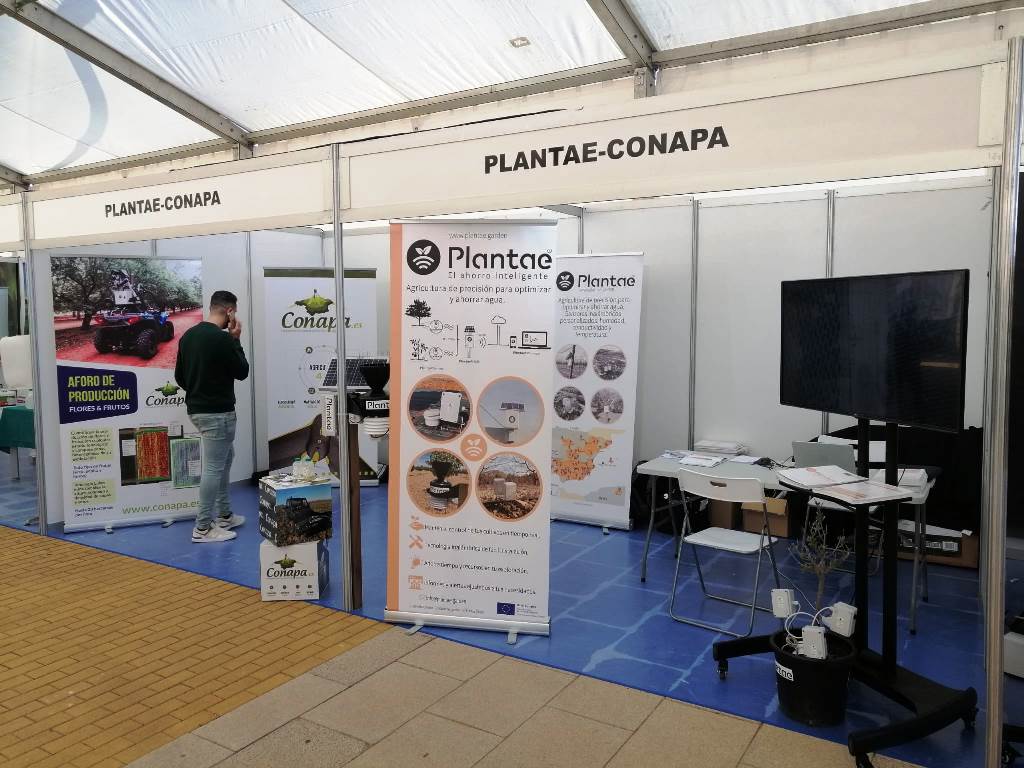 Stand Plantae y Conapa