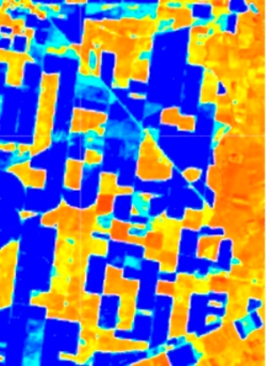 La imagen tiene un atributo ALT vacío; su nombre de archivo es campazas-leon-2.jpg