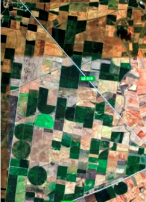 Imágenes satelitales y drones en el ámbito agroforestal