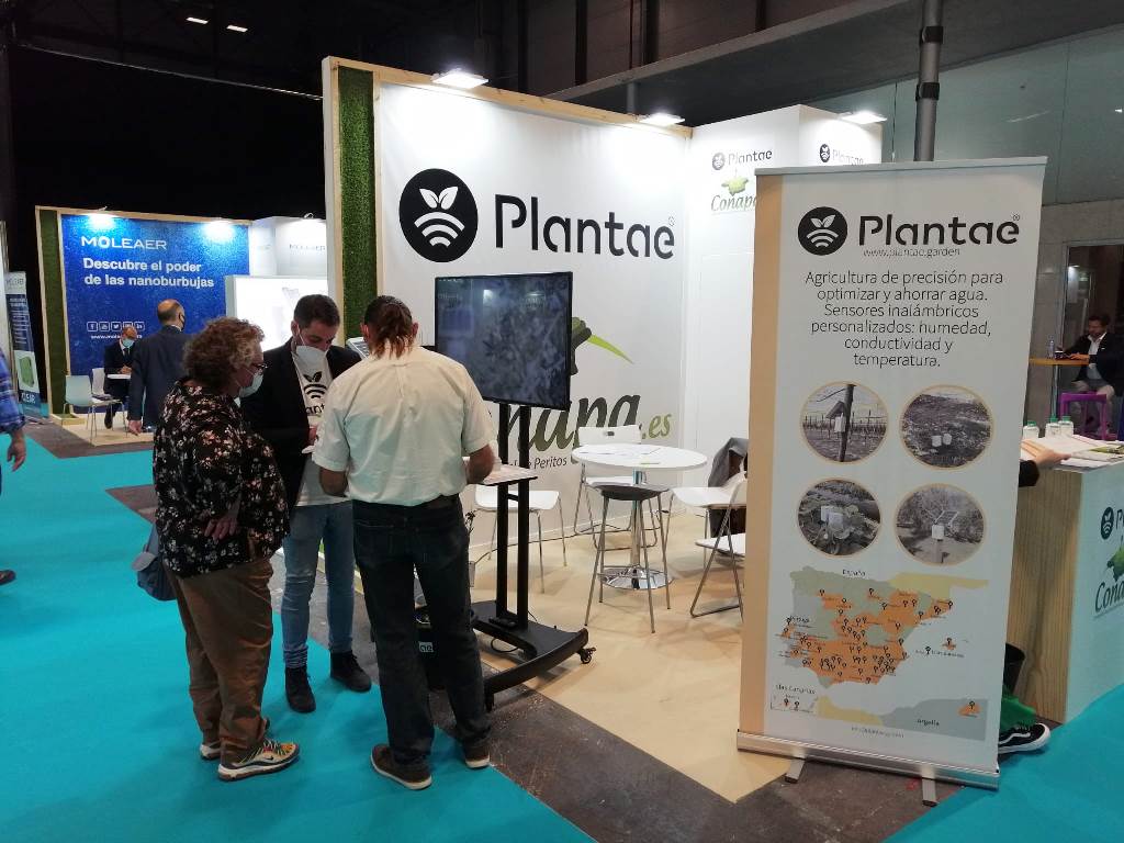 SStand de Plantae y Conapa