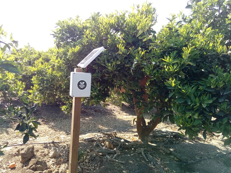 Plantae obtiene el sello EIBT