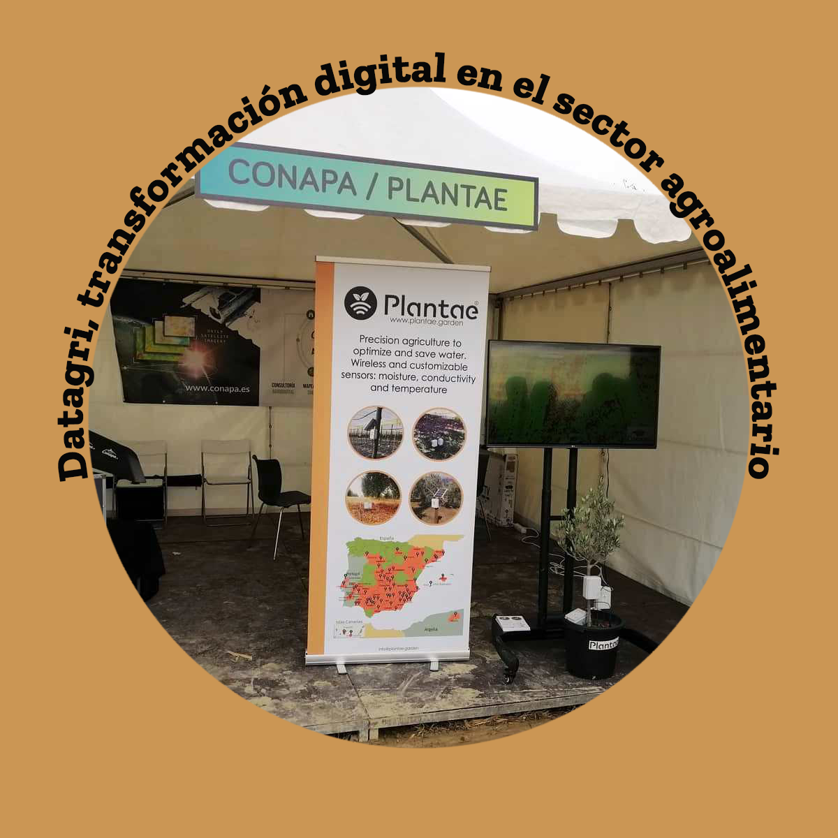 Datagri, transformación digital en el sector agroalimentario