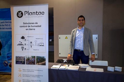 Stand de Plantae en fenacore
