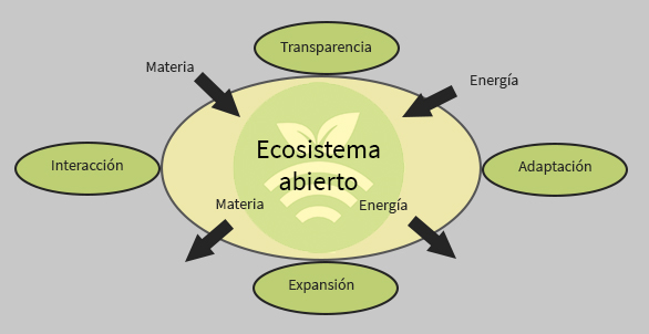 Ecosistema abierto en South Summit