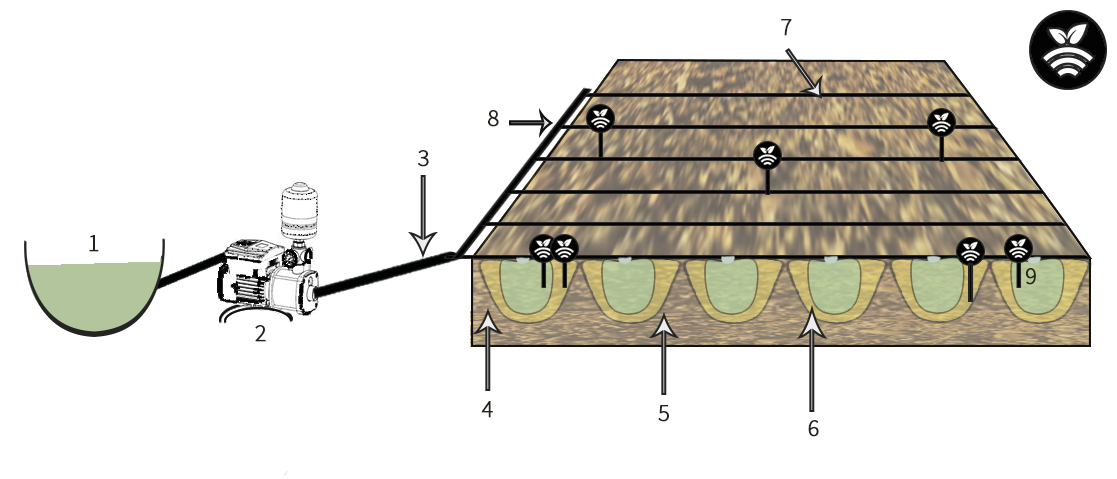 Esquema de riego por goteo superficial