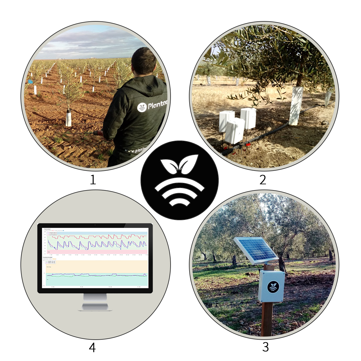 Plan de trabajo Plantae